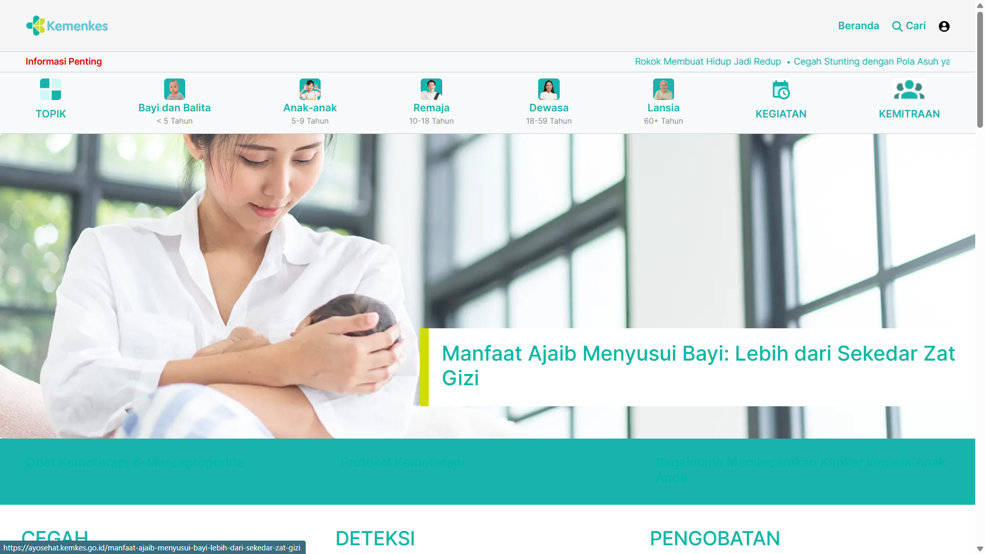 Website Kementerian